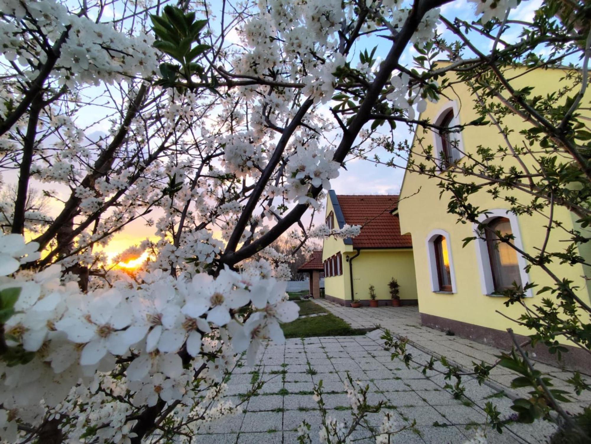 Idylicky Rodinny Penzion Arkadia Pri Dunajskej Cyklotrase Kyselica Exterior foto