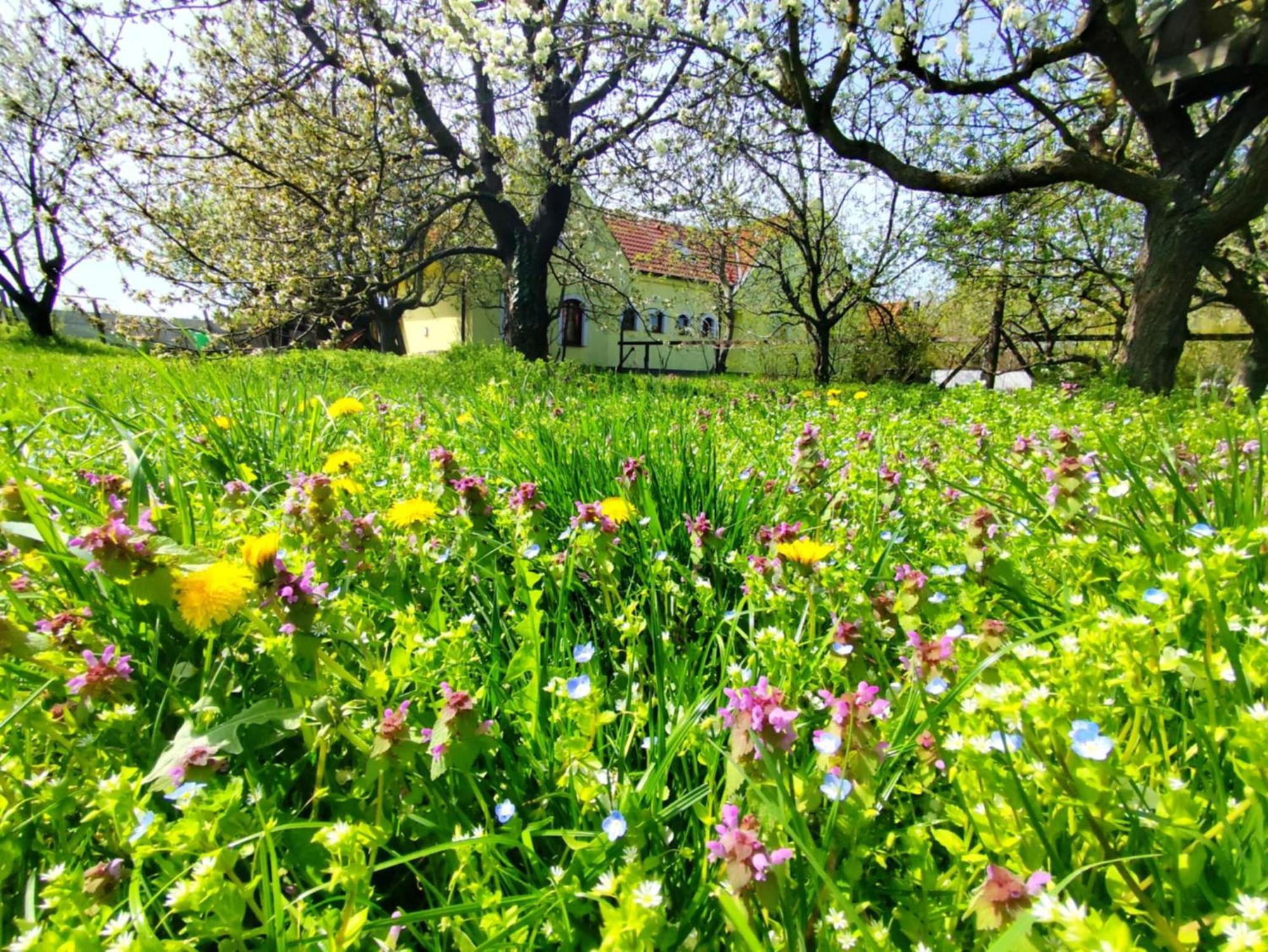 Idylicky Rodinny Penzion Arkadia Pri Dunajskej Cyklotrase Kyselica Exterior foto